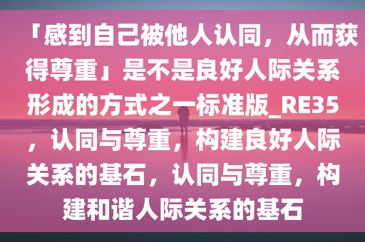 「感到自己被他人认同，从而获得尊重」是不是良好人际关系形成的方式之一标准版_RE35，认同与尊重，构建良好人际关系的基石，认同与尊重，构建和谐人际关系的基石