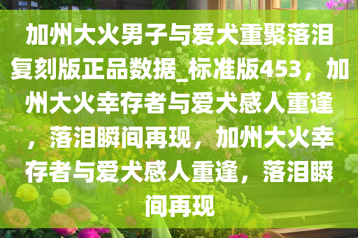 加州大火男子与爱犬重聚落泪复刻版正品数据_标准版453，加州大火幸存者与爱犬感人重逢，落泪瞬间再现，加州大火幸存者与爱犬感人重逢，落泪瞬间再现