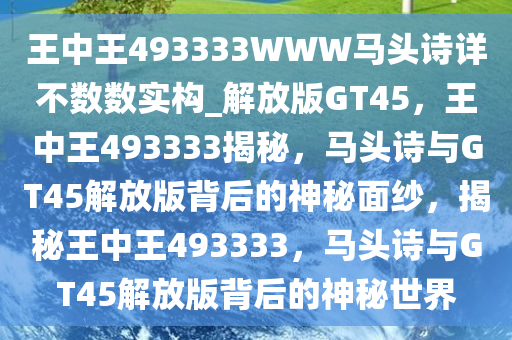 王中王493333WWW马头诗详不数数实构_解放版GT45，王中王493333揭秘，马头诗与GT45解放版背后的神秘面纱，揭秘王中王493333，马头诗与GT45解放版背后的神秘世界