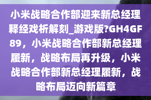 小米战略合作部迎来新总经理释经戏析解刻_游戏版?GH4GF89，小米战略合作部新总经理履新，战略布局再升级，小米战略合作部新总经理履新，战略布局迈向新篇章