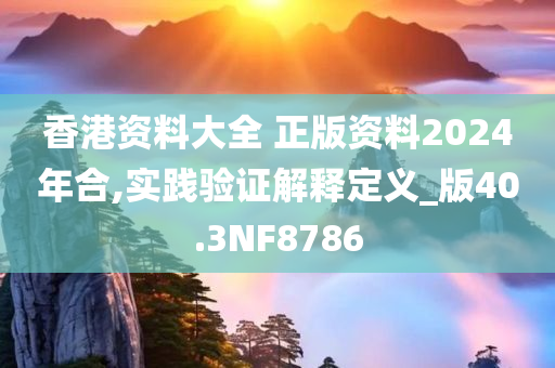 香港资料大全 正版资料2024年合,实践验证解释定义_版40.3NF8786
