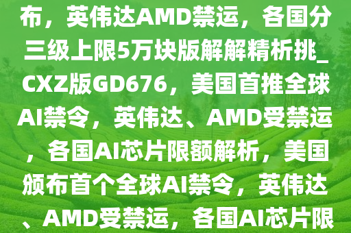 刚刚，美国首个全球AI禁令颁布，英伟达AMD禁运，各国分三级上限5万块版解解精析挑_CXZ版GD676，美国首推全球AI禁令，英伟达、AMD受禁运，各国AI芯片限额解析，美国颁布首个全球AI禁令，英伟达、AMD受禁运，各国AI芯片限额揭秘