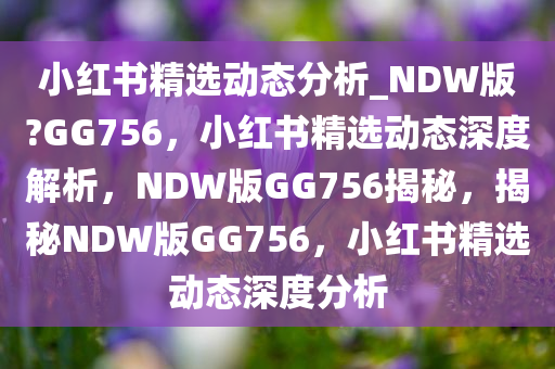 小红书精选动态分析_NDW版?GG756，小红书精选动态深度解析，NDW版GG756揭秘，揭秘NDW版GG756，小红书精选动态深度分析