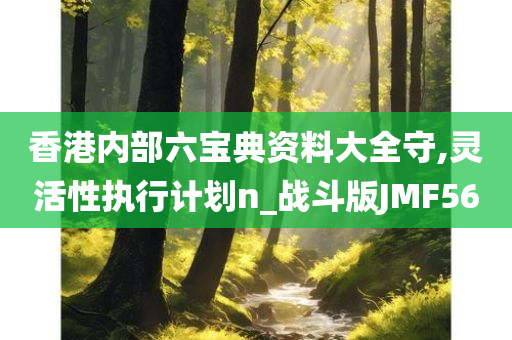 香港内部六宝典资料大全守,灵活性执行计划n_战斗版JMF56