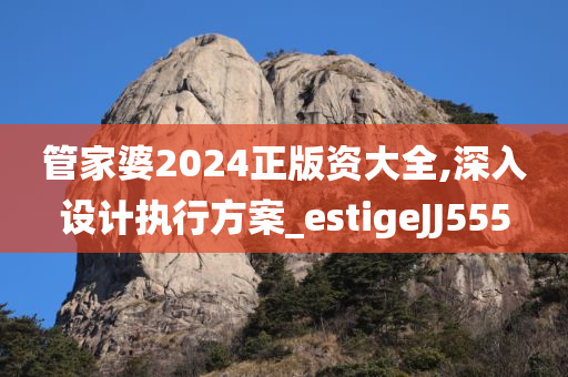 管家婆2024正版资大全,深入设计执行方案_estigeJJ555