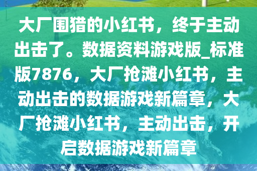 大厂围猎的小红书，终于主动出击了。数据资料游戏版_标准版7876，大厂抢滩小红书，主动出击的数据游戏新篇章，大厂抢滩小红书，主动出击，开启数据游戏新篇章