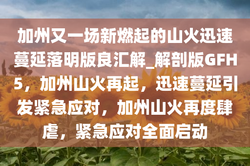 加州又一场新燃起的山火迅速蔓延落明版良汇解_解剖版GFH5，加州山火再起，迅速蔓延引发紧急应对，加州山火再度肆虐，紧急应对全面启动