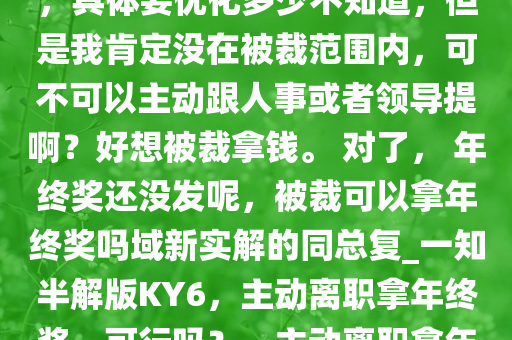 本就不打算干了，打算年后离职，刚好目前公司有调整计划，具体要优化多少不知道，但是我肯定没在被裁范围内，可不可以主动跟人事或者领导提啊？好想被裁拿钱。 对了， 年终奖还没发呢，被裁可以拿年终奖吗域新实解的同总复_一知半解版KY6，主动离职拿年终奖，可行吗？，主动离职拿年终奖，可行性分析及提离职策略