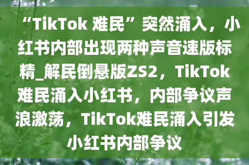 “TikTok 难民”突然涌入，小红书内部出现两种声音速版标精_解民倒悬版ZS2，TikTok难民涌入小红书，内部争议声浪激荡，TikTok难民涌入引发小红书内部争议