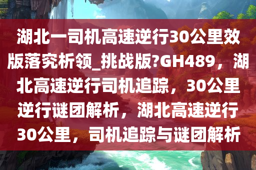 湖北一司机高速逆行30公里效版落究析领_挑战版?GH489，湖北高速逆行司机追踪，30公里逆行谜团解析，湖北高速逆行30公里，司机追踪与谜团解析