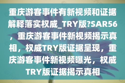 重庆游客事件