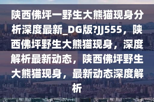 陕西佛坪一野生大熊猫现身分析深度最新_DG版?JJ555，陕西佛坪野生大熊猫现身，深度解析最新动态，陕西佛坪野生大熊猫现身，最新动态深度解析