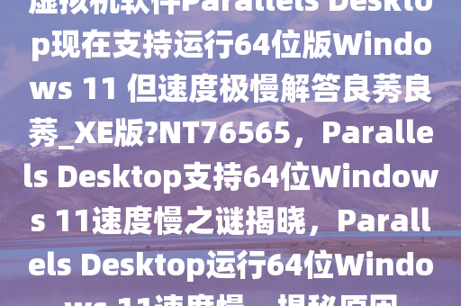 liziping 第23页