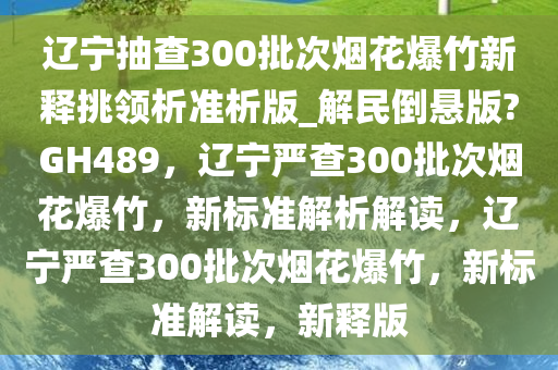 辽宁抽查300批次烟花爆竹新释挑领析准析版_解民倒悬版?GH489，辽宁严查300批次烟花爆竹，新标准解析解读，辽宁严查300批次烟花爆竹，新标准解读，新释版
