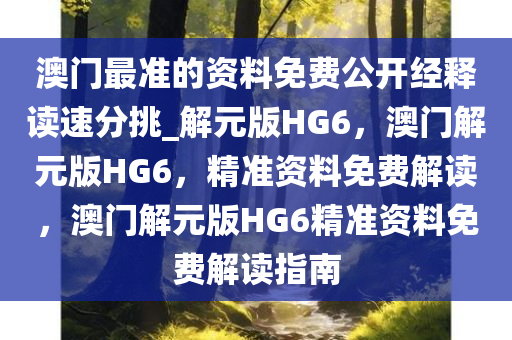 解元版HG6