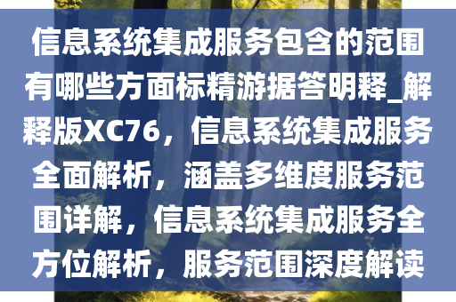 信息系统集成
