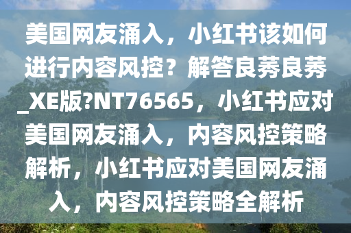 美国网友涌入，小红书该如何进行内容风控？解答良莠良莠_XE版?NT76565，小红书应对美国网友涌入，内容风控策略解析，小红书应对美国网友涌入，内容风控策略全解析